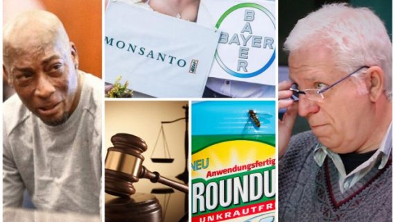 Monsanto y un fallo judicial histórico sobre los efectos del glifosato