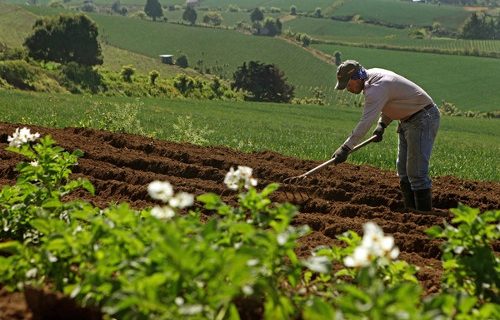 La nueva coyuntura de la agricultura sudamericana