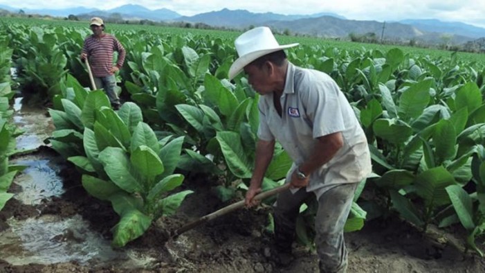 El regreso del desarrollo rural para enfrentar los cambios radicales en la agricultura latinoamericana
